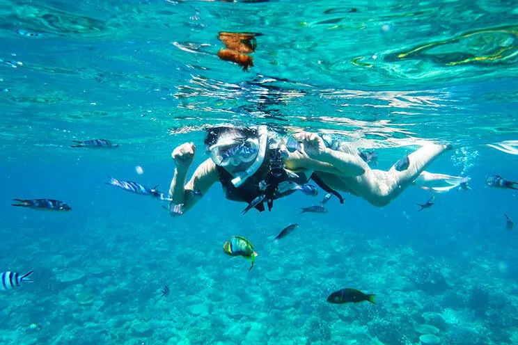 minna island snorkeling