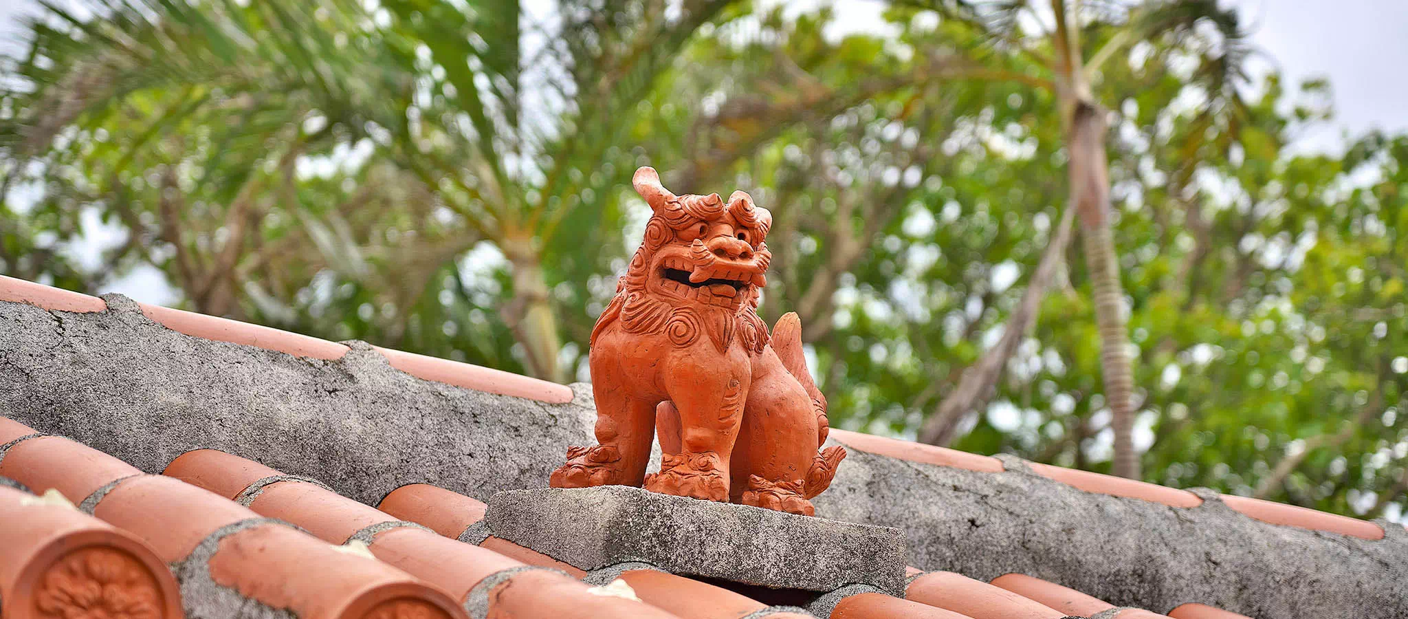discover okinawa shisa