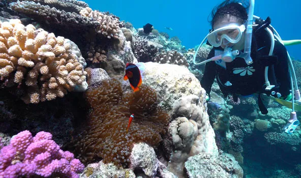 diving spots in okinawa