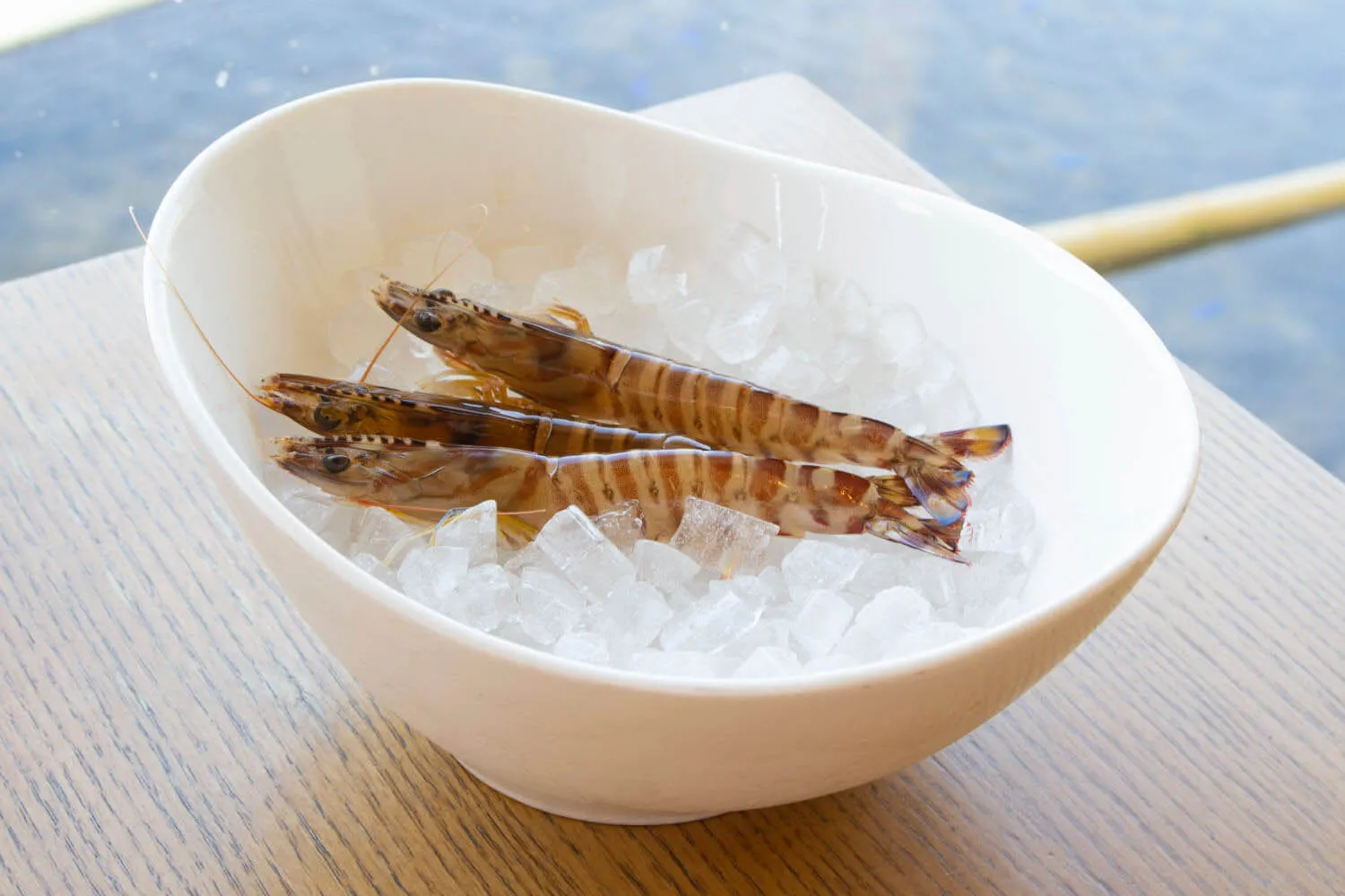 japanese tiger prawns