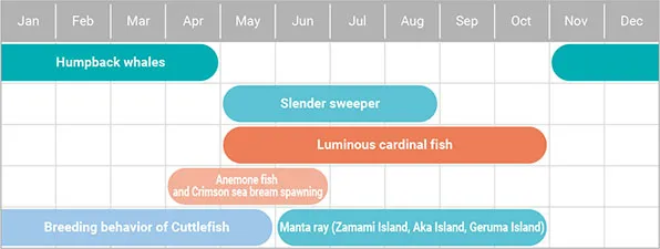 kerama islands sea life chart