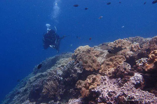 okinawa spot sunabe