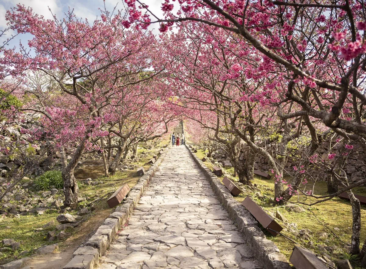 february nakijin castle