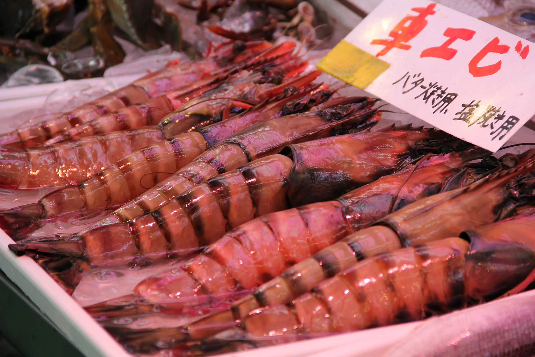 november tiger prawns okinawa