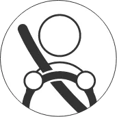 traffic rule seat belts