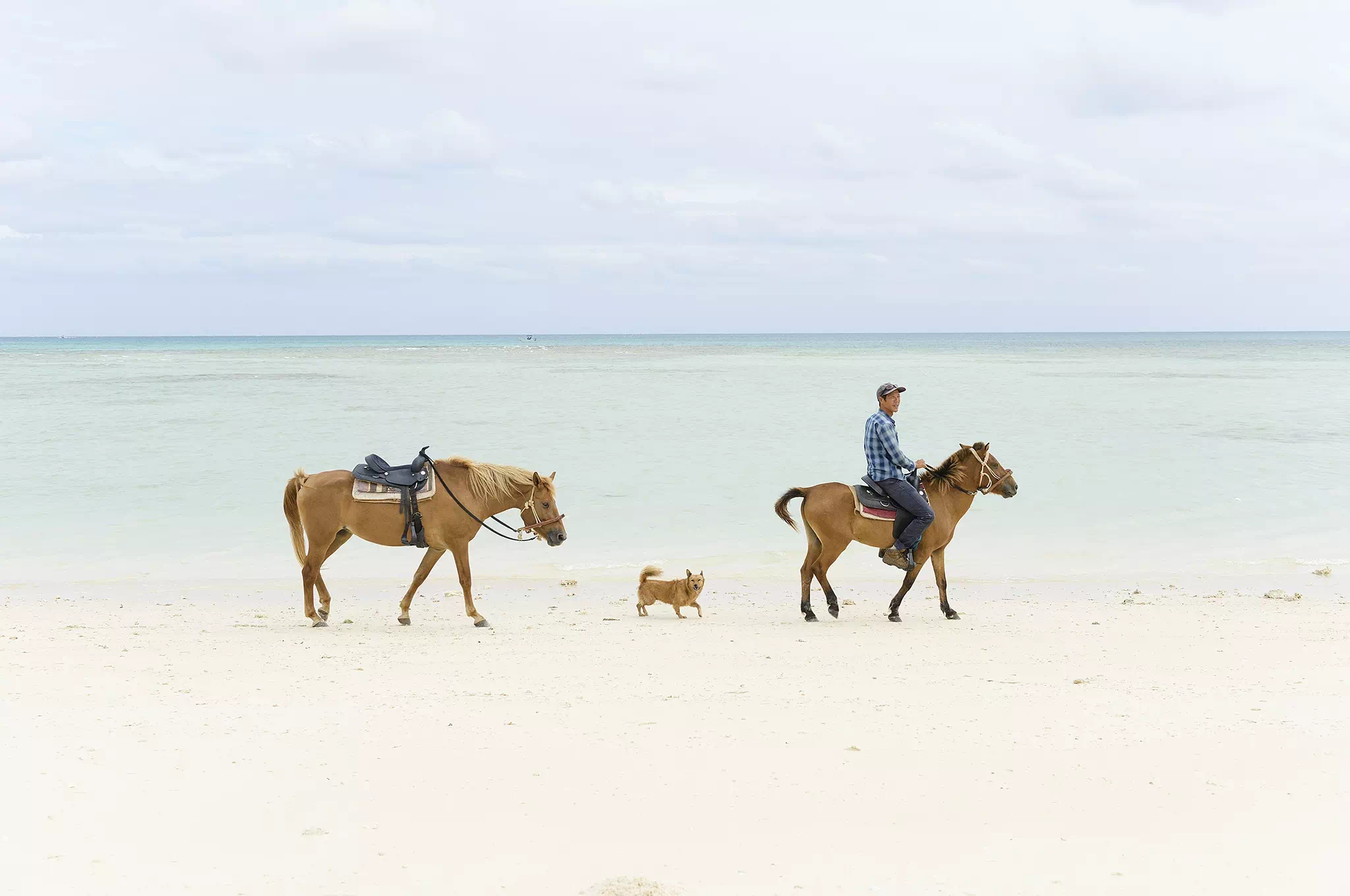 september horseback riding okinawa