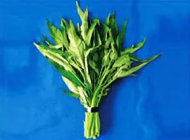 okinawa water spinach
