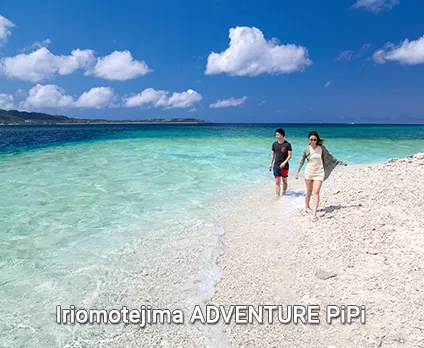 pipi iriomote adventure