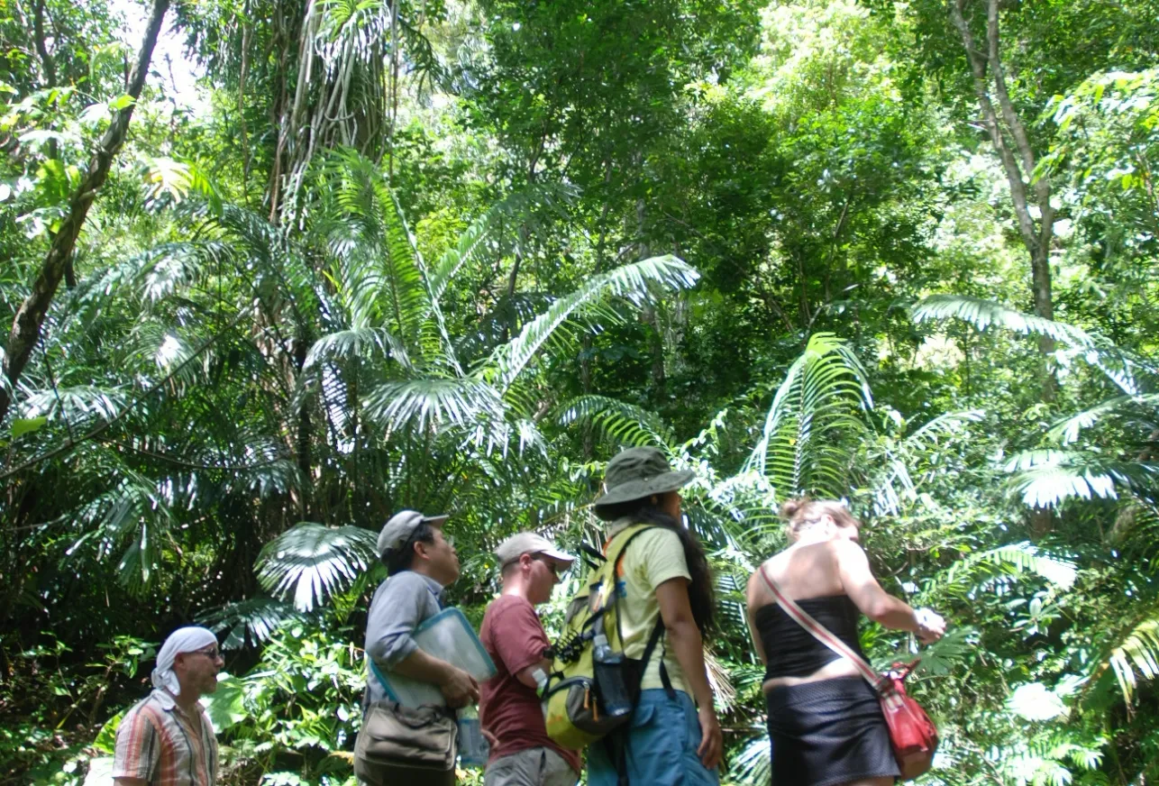 urauchi river sightseeing