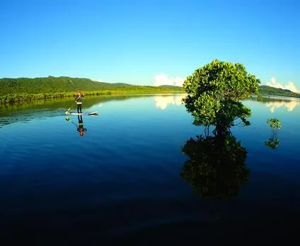 iriomote waterman