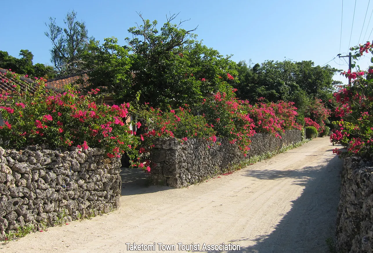 taketomi island village