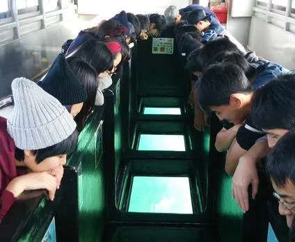 kabira marine service