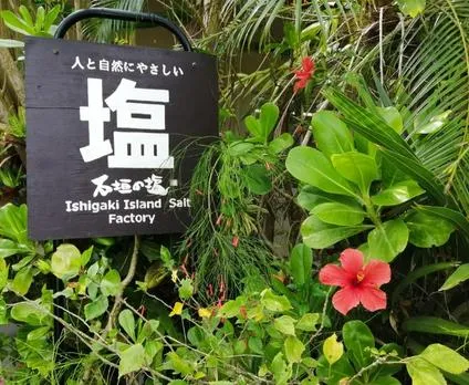ishigaki no shio