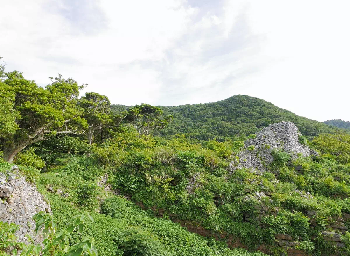 本部半島的森林景觀