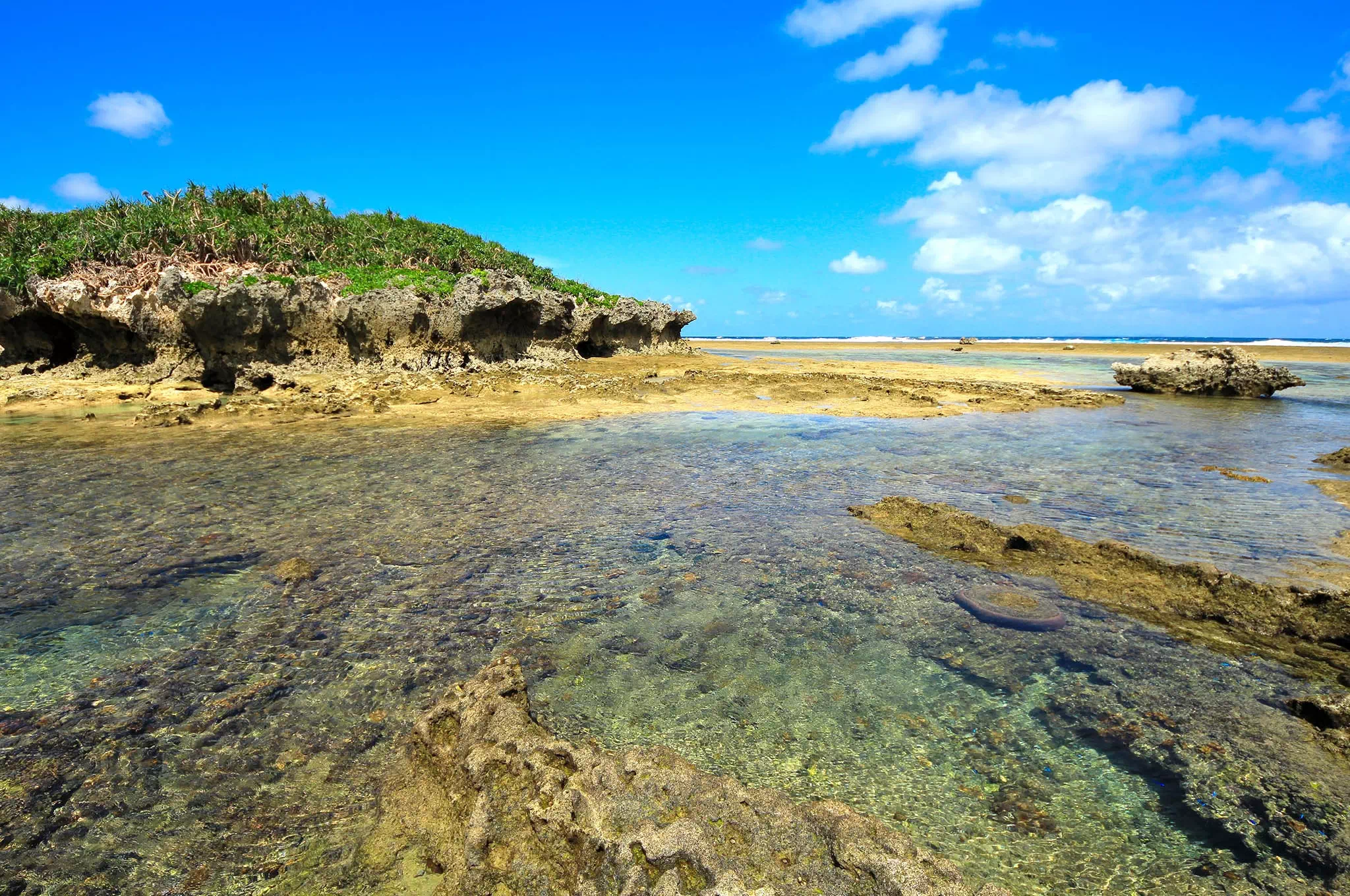 本部半島海岸風景