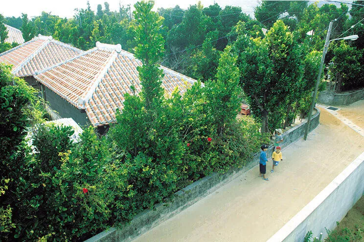 渡名喜島村落景觀
