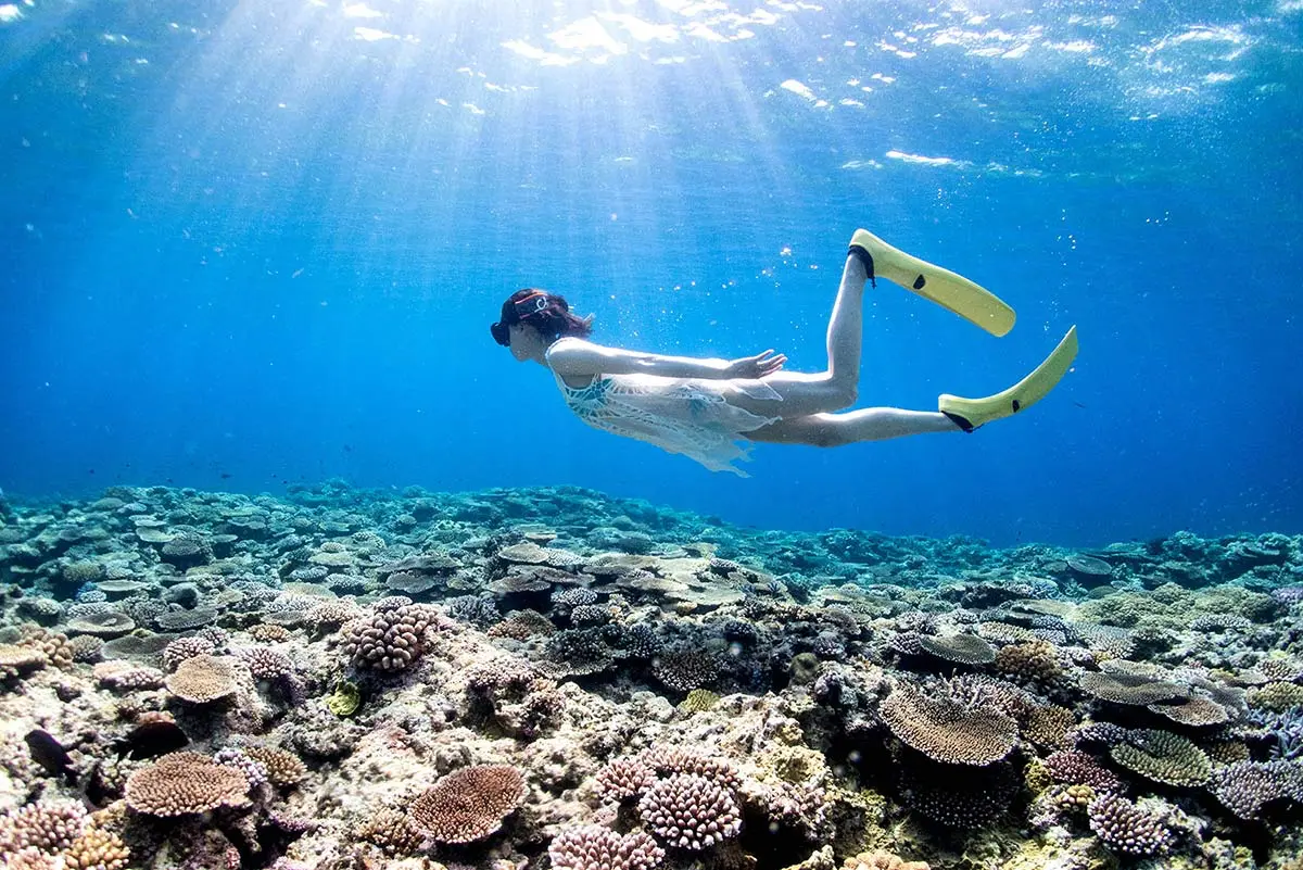 石垣島的浮潛體驗