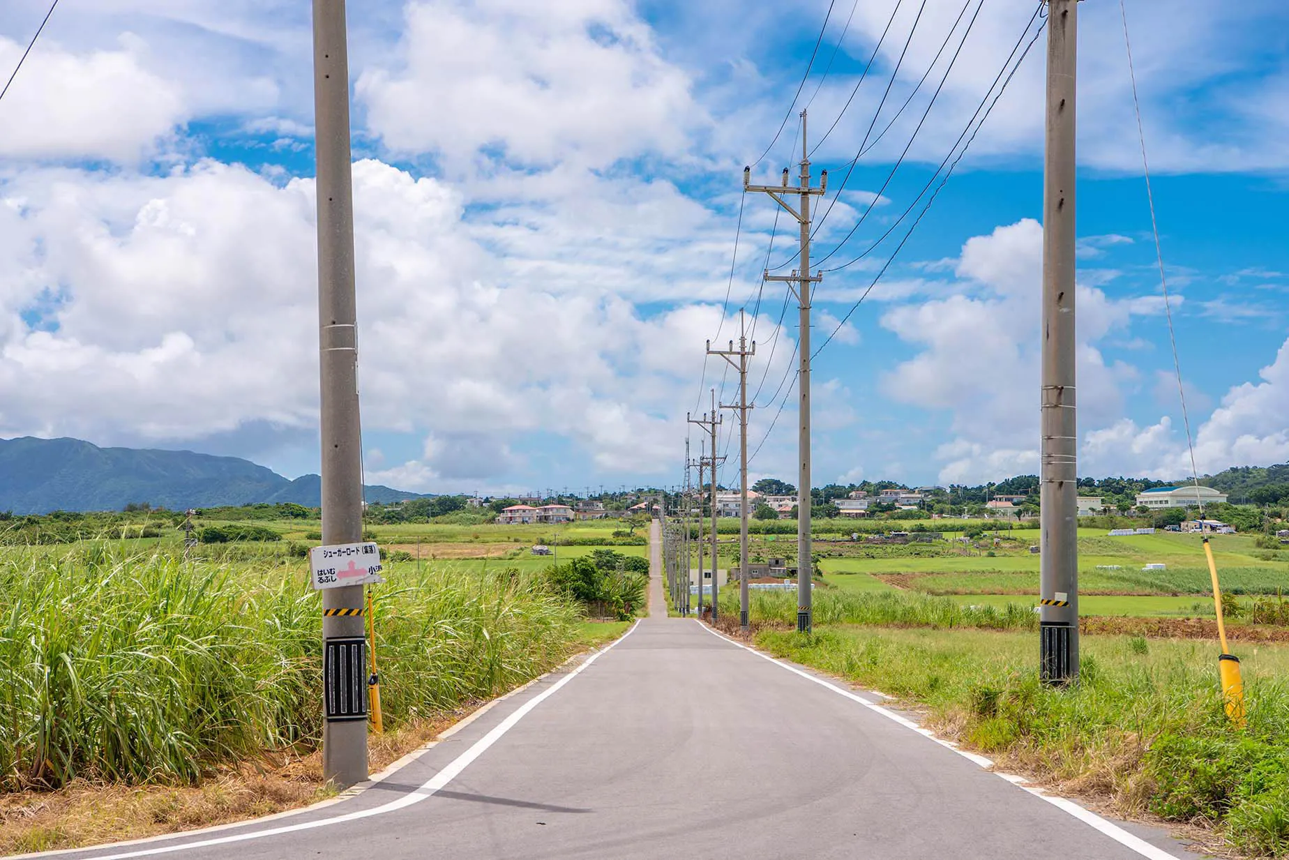 小濱島的糖路