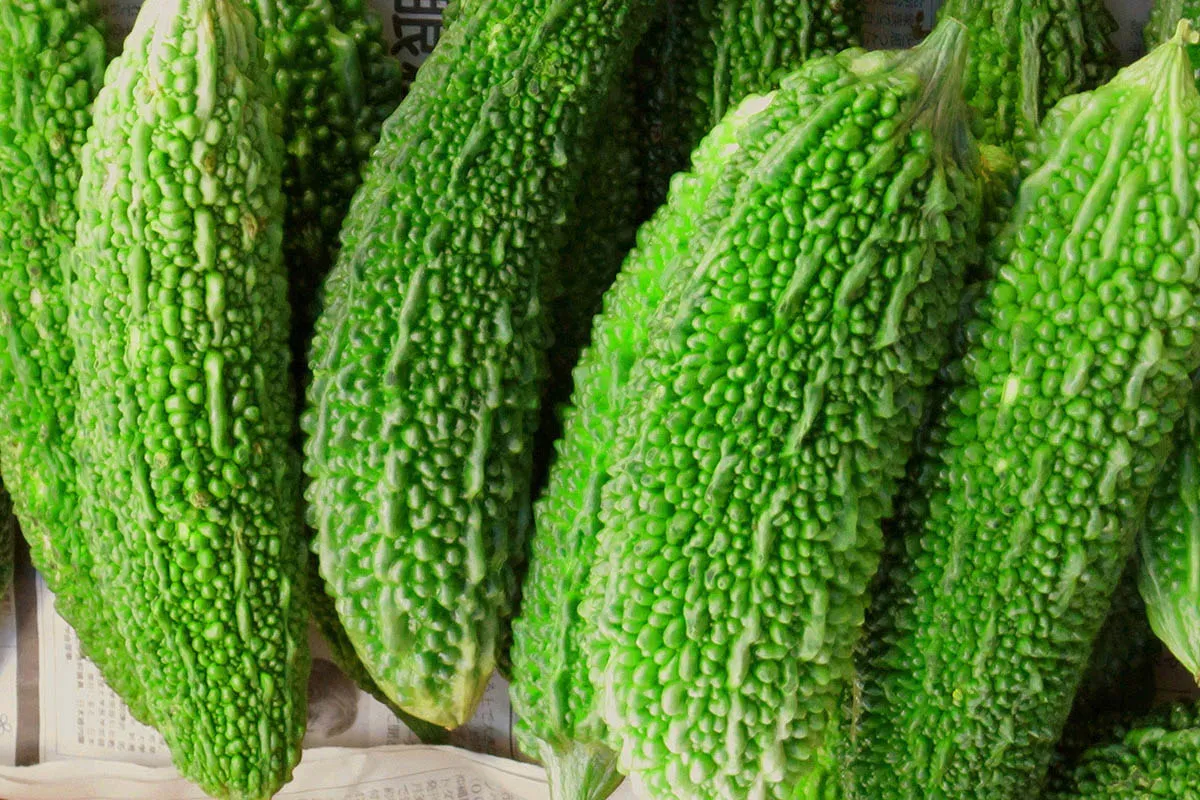 藍色地帶苦瓜