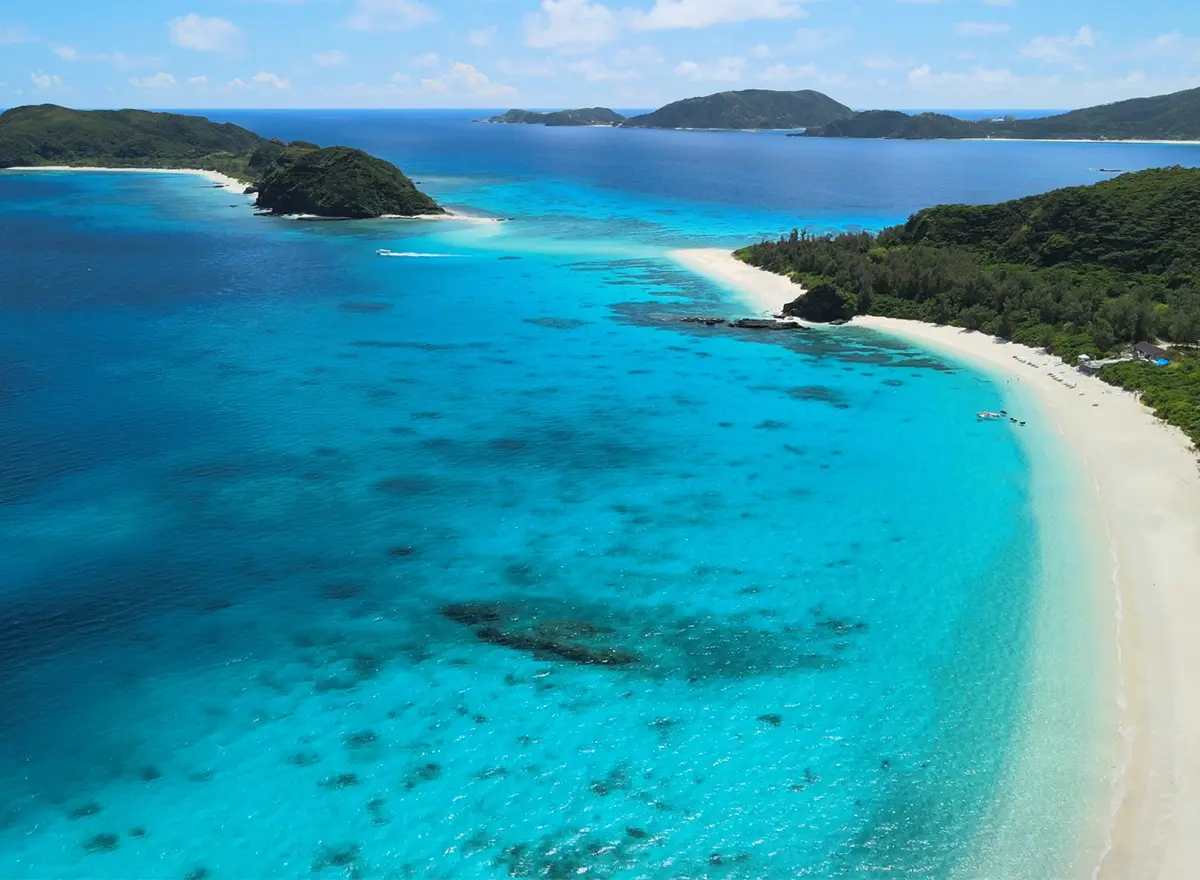 座間味島 珊瑚礁海域