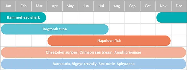 與那國島海洋圖表