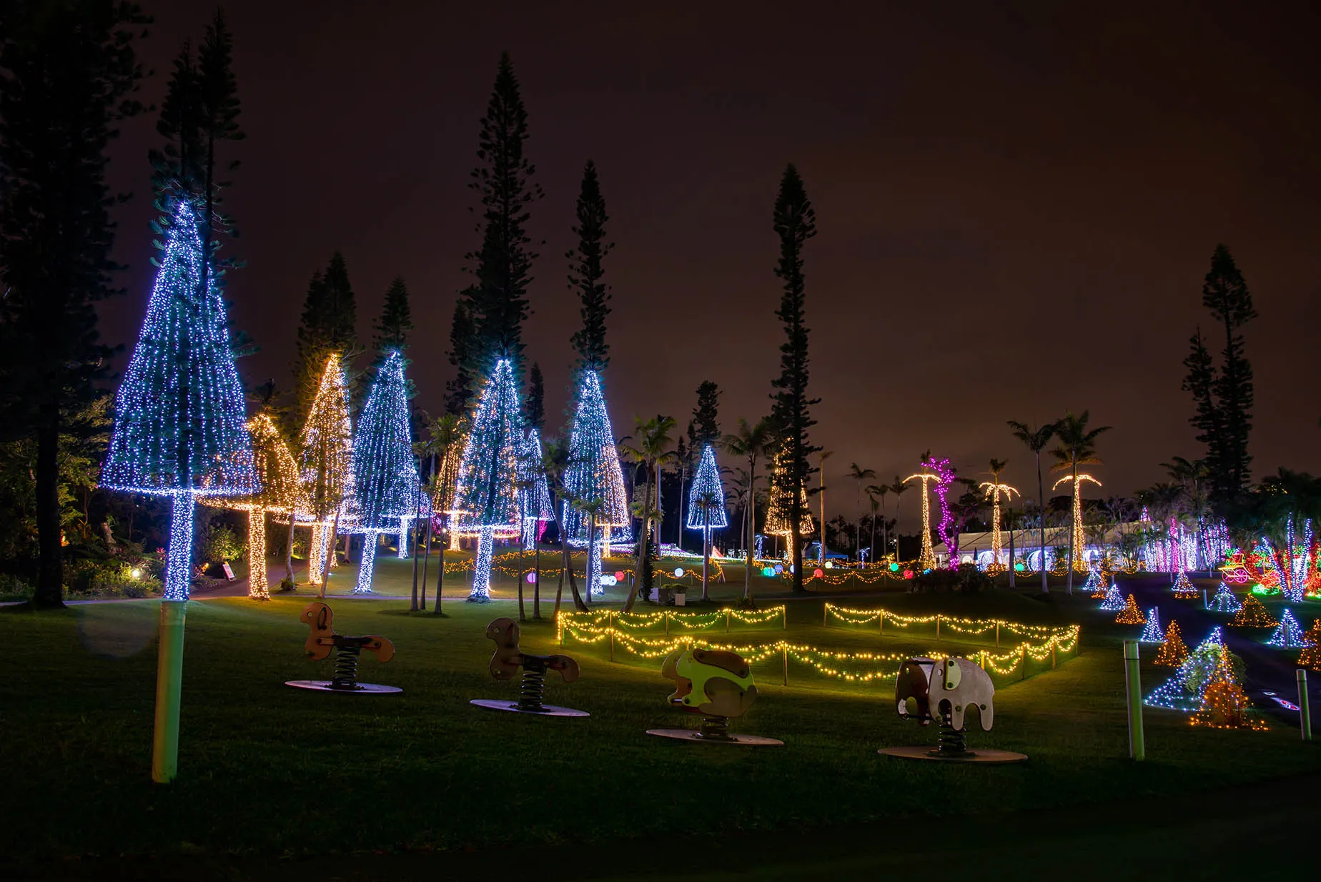 12月東南植物樂園