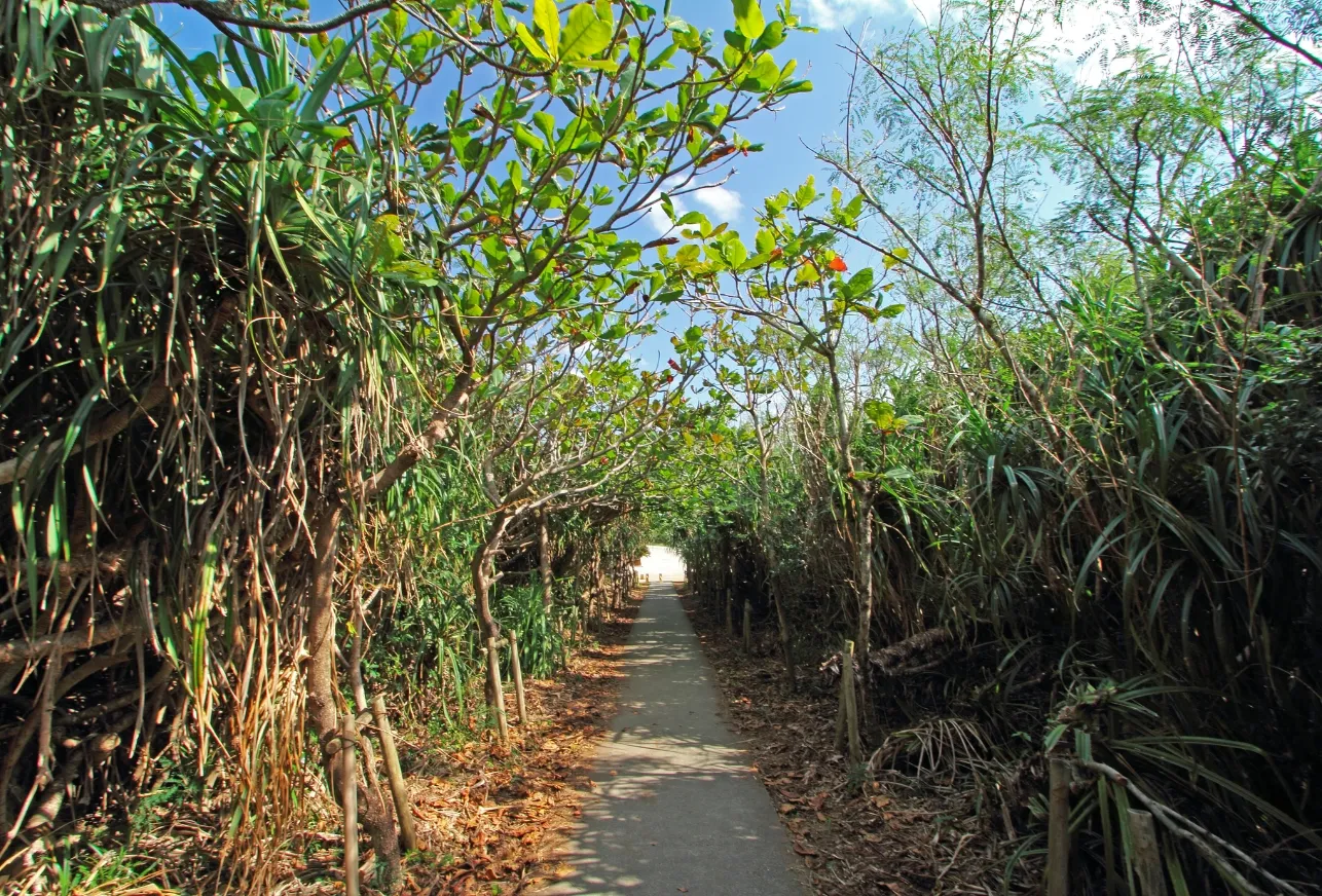 shimoji island