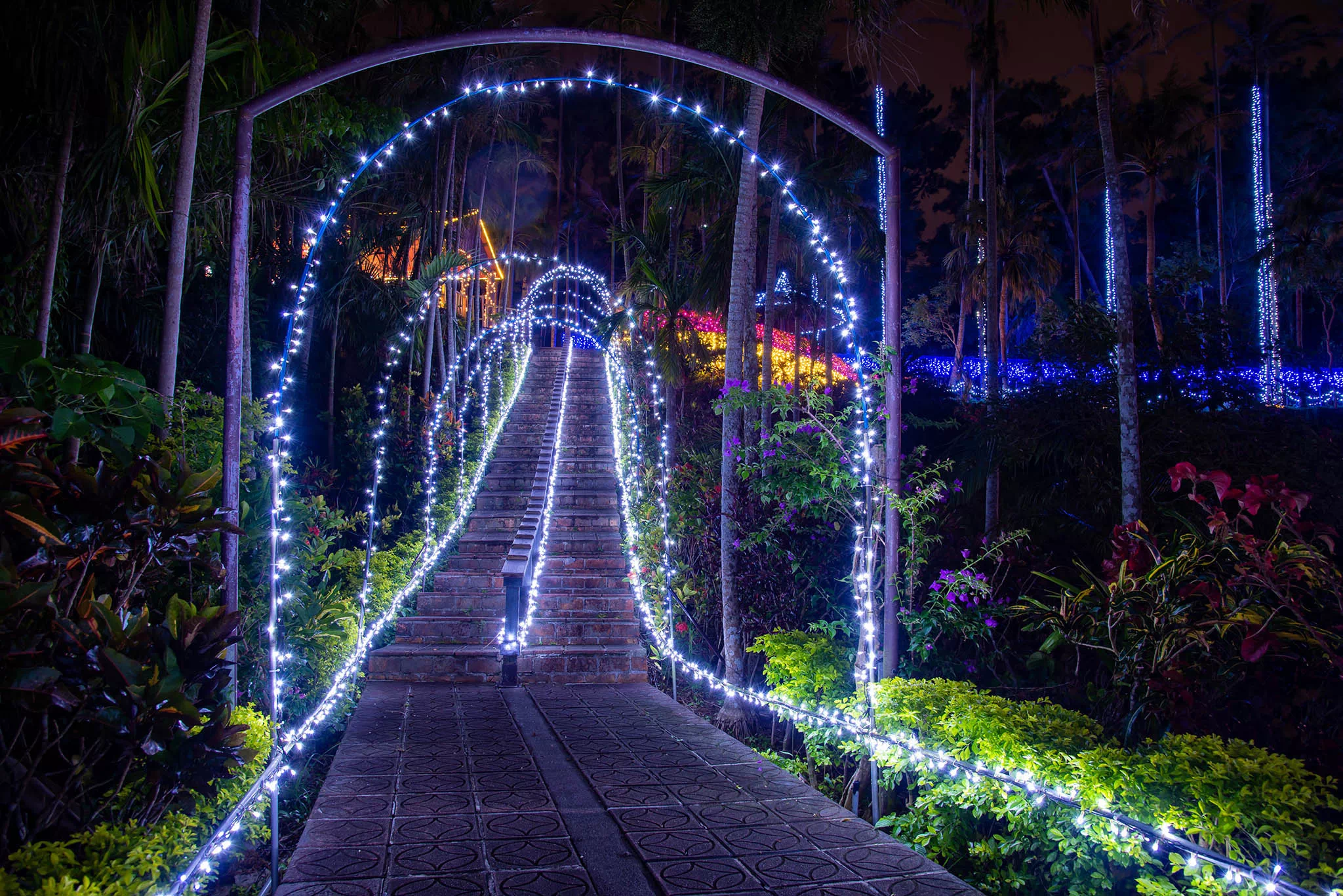 southeast botanical gardens illumination