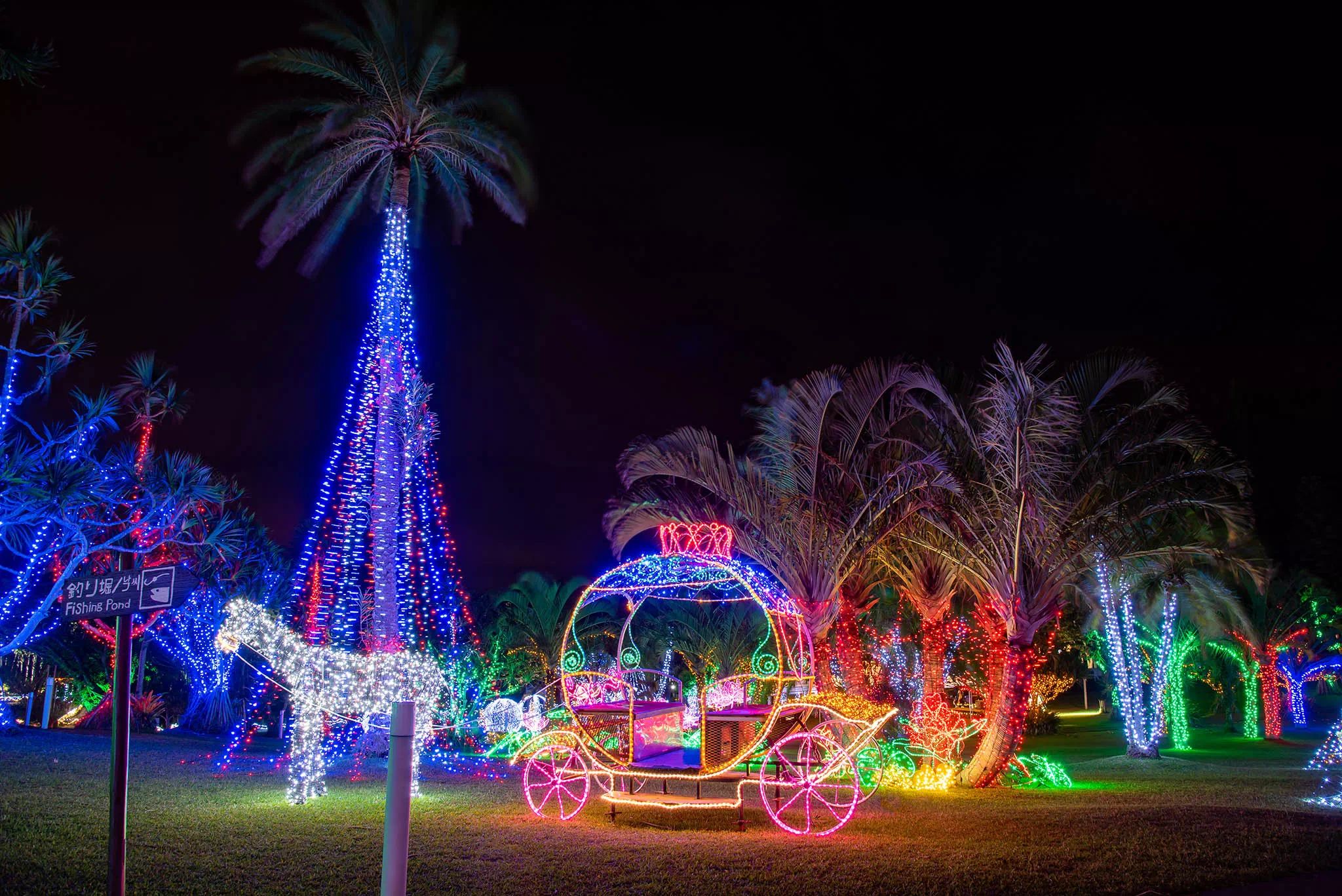 southeast botanical gardens illumination