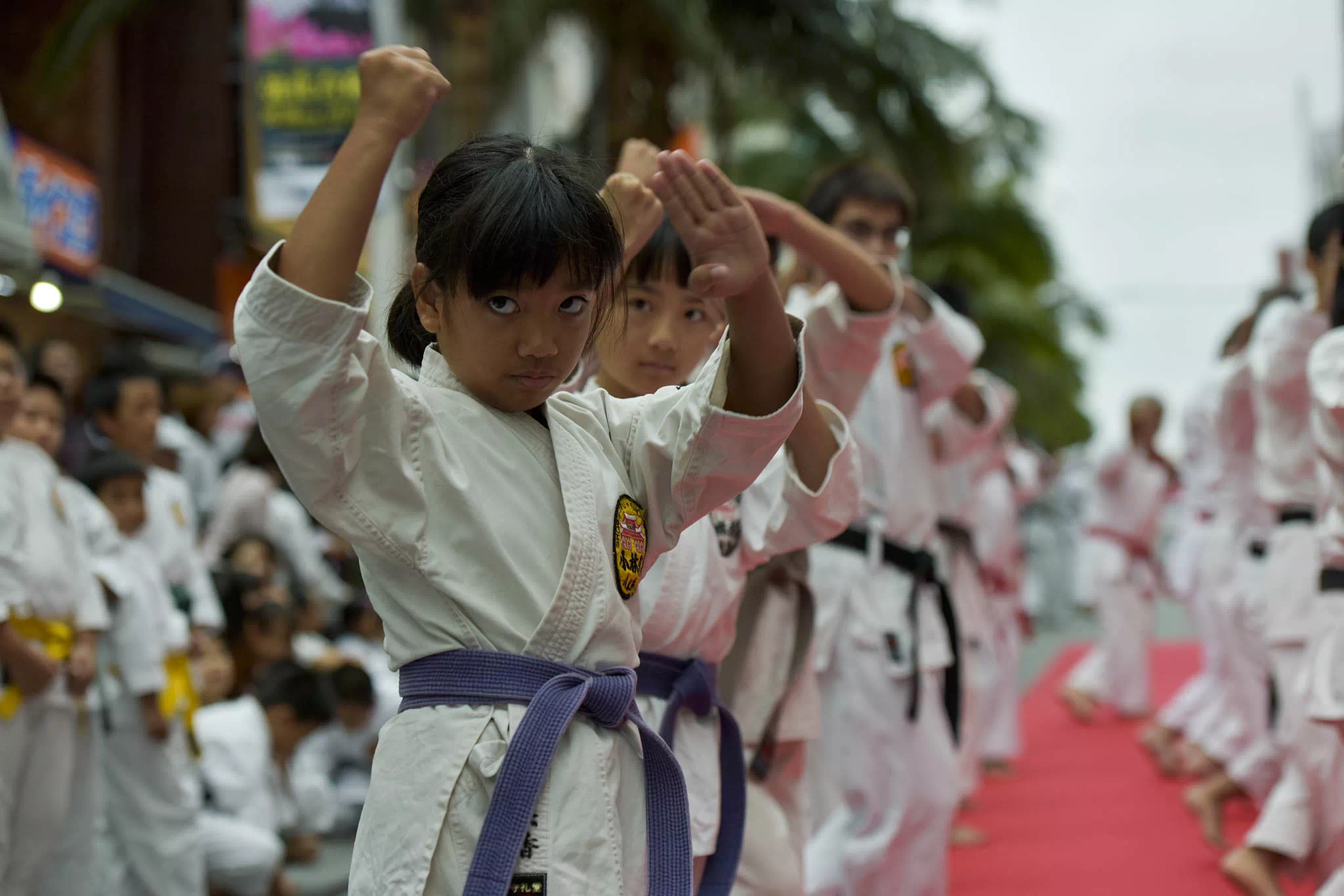 karate day