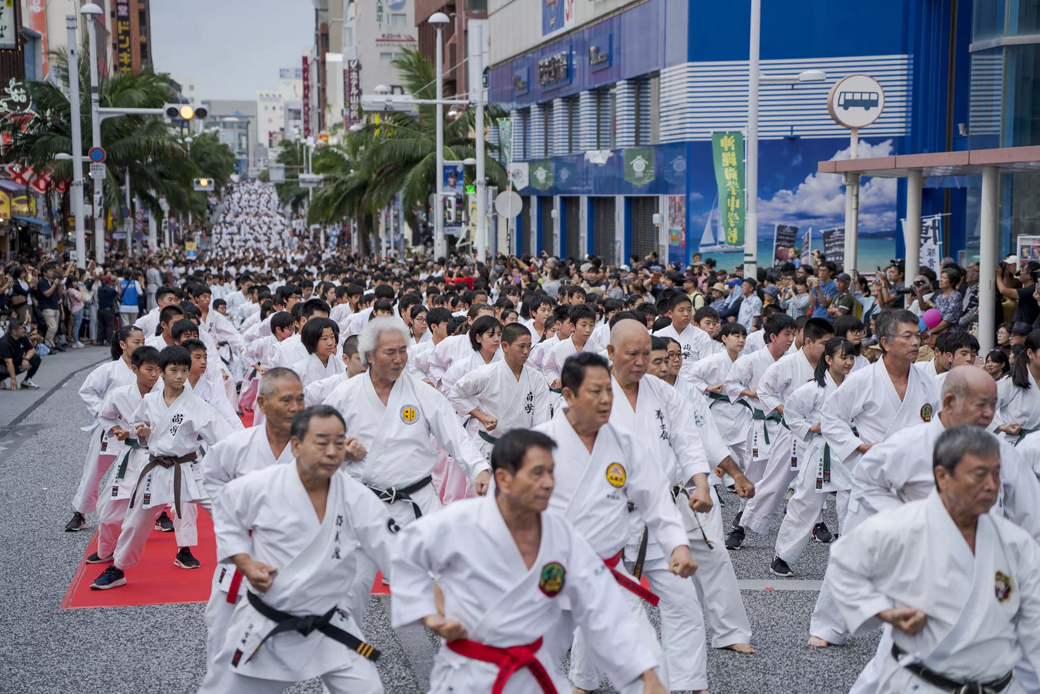 karate day