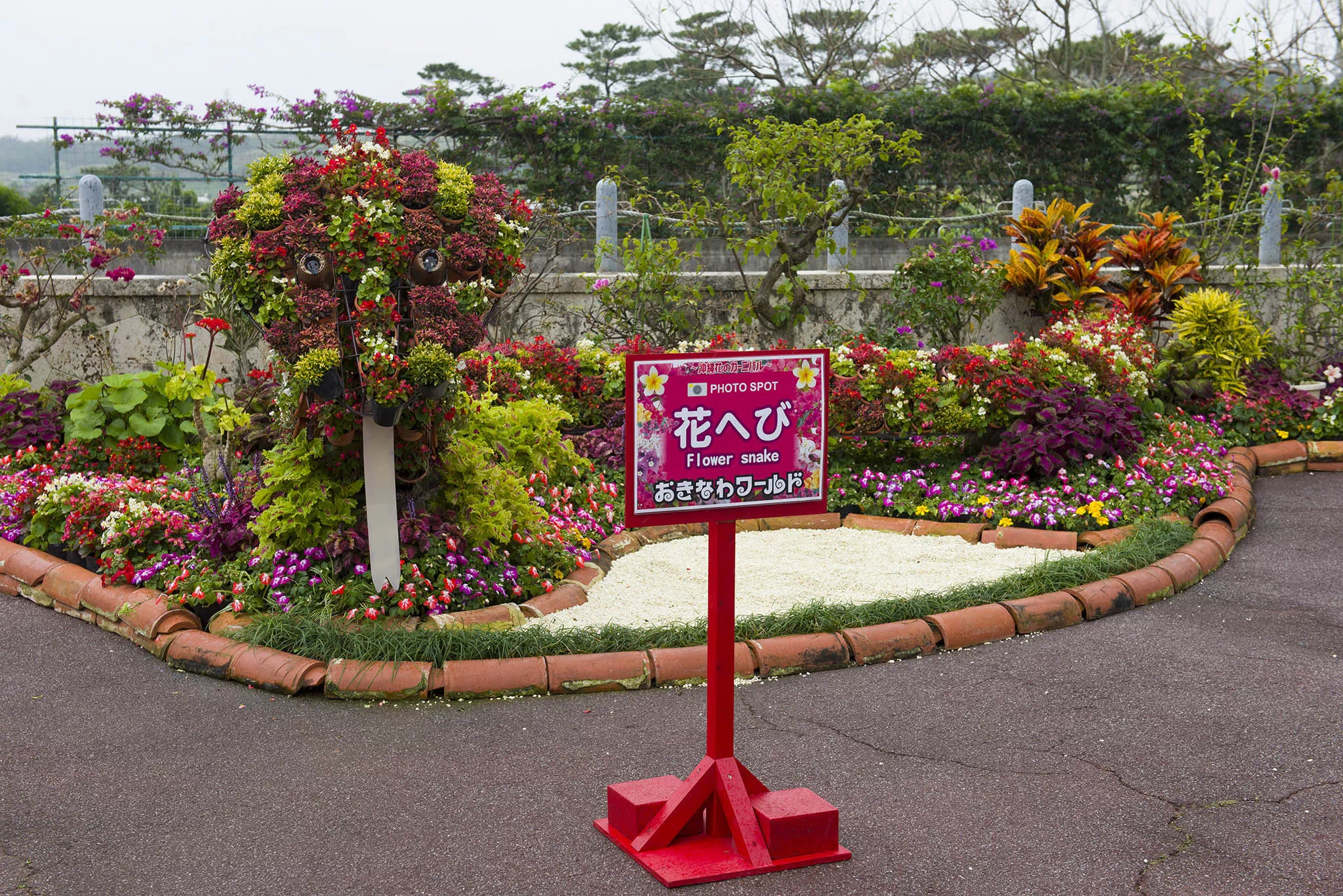 okinawa flower carnival