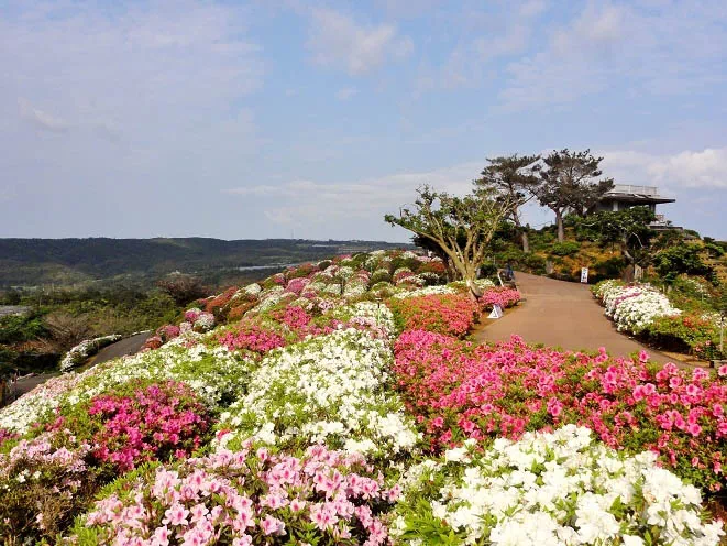 higashi azalea festival