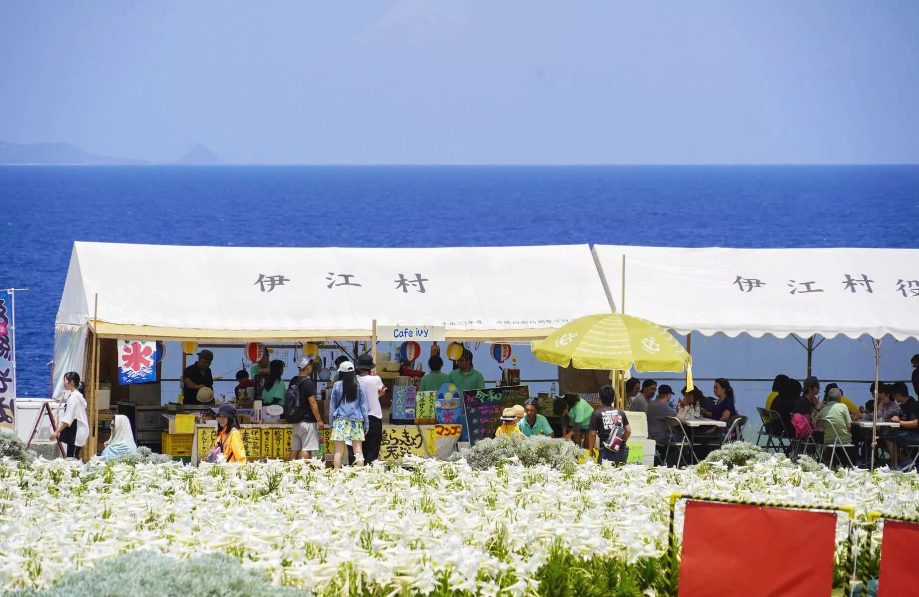 ie lily festival