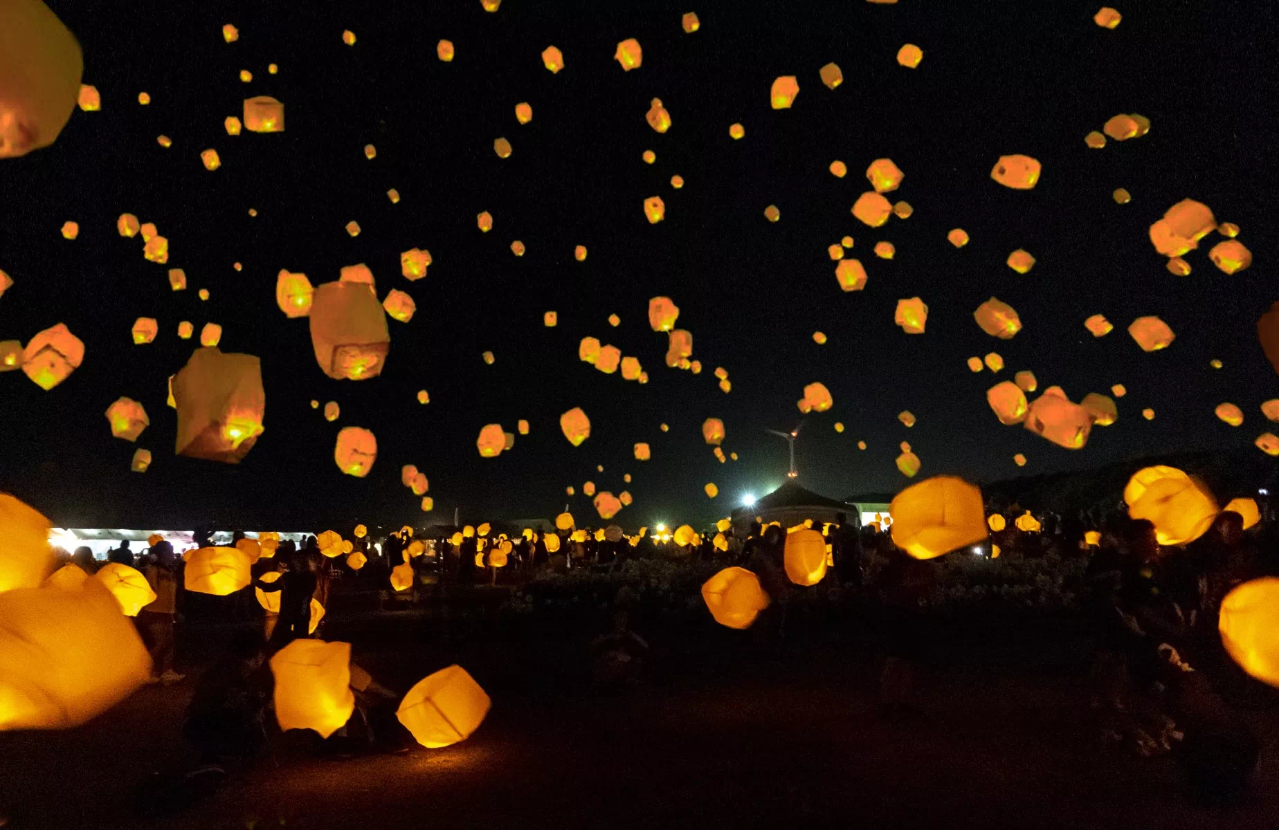 ie lily festival