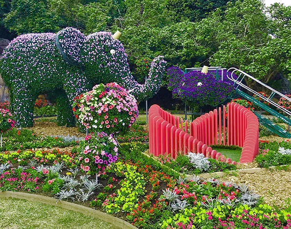 okinawa flower festival