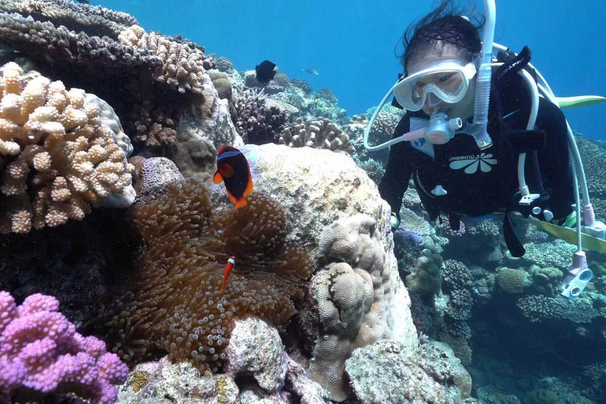diving okinawa
