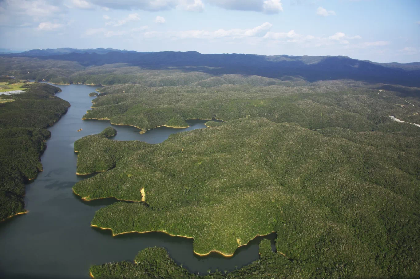 yanbaru national park