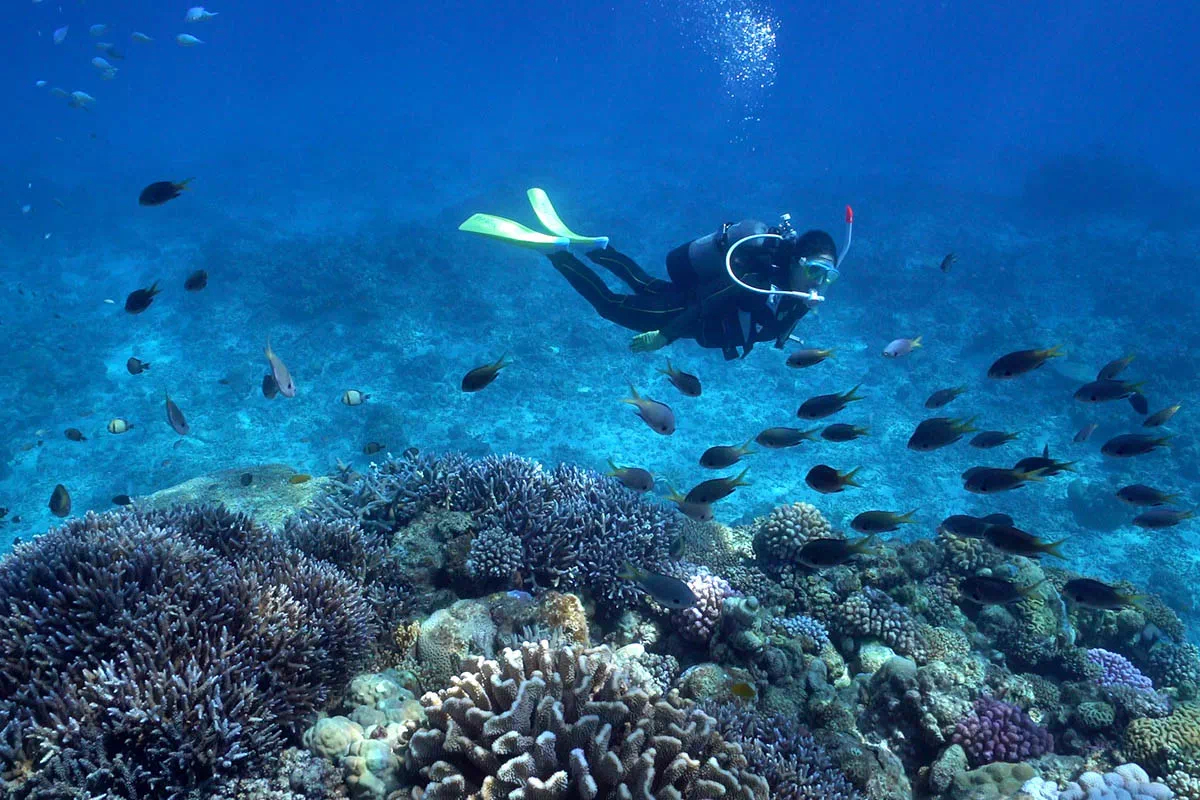 okinawa diving guide