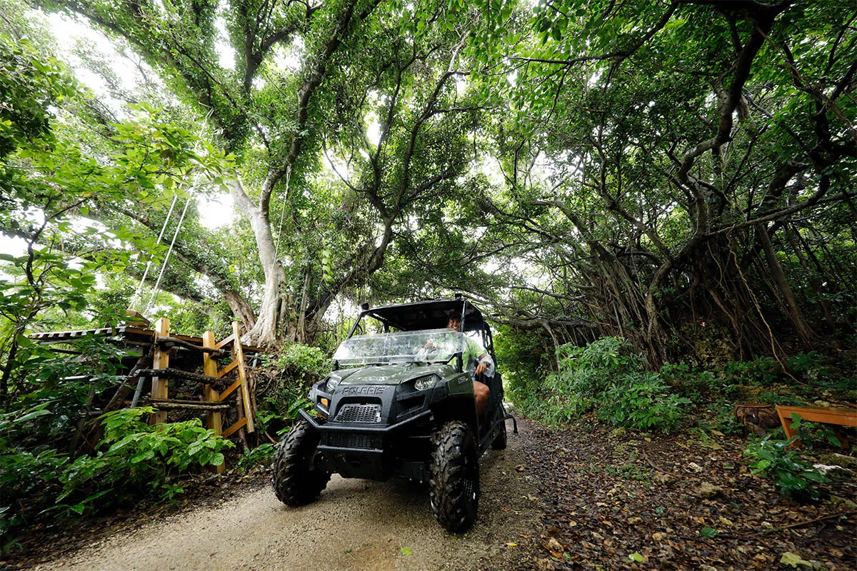okinawa jungle buggy