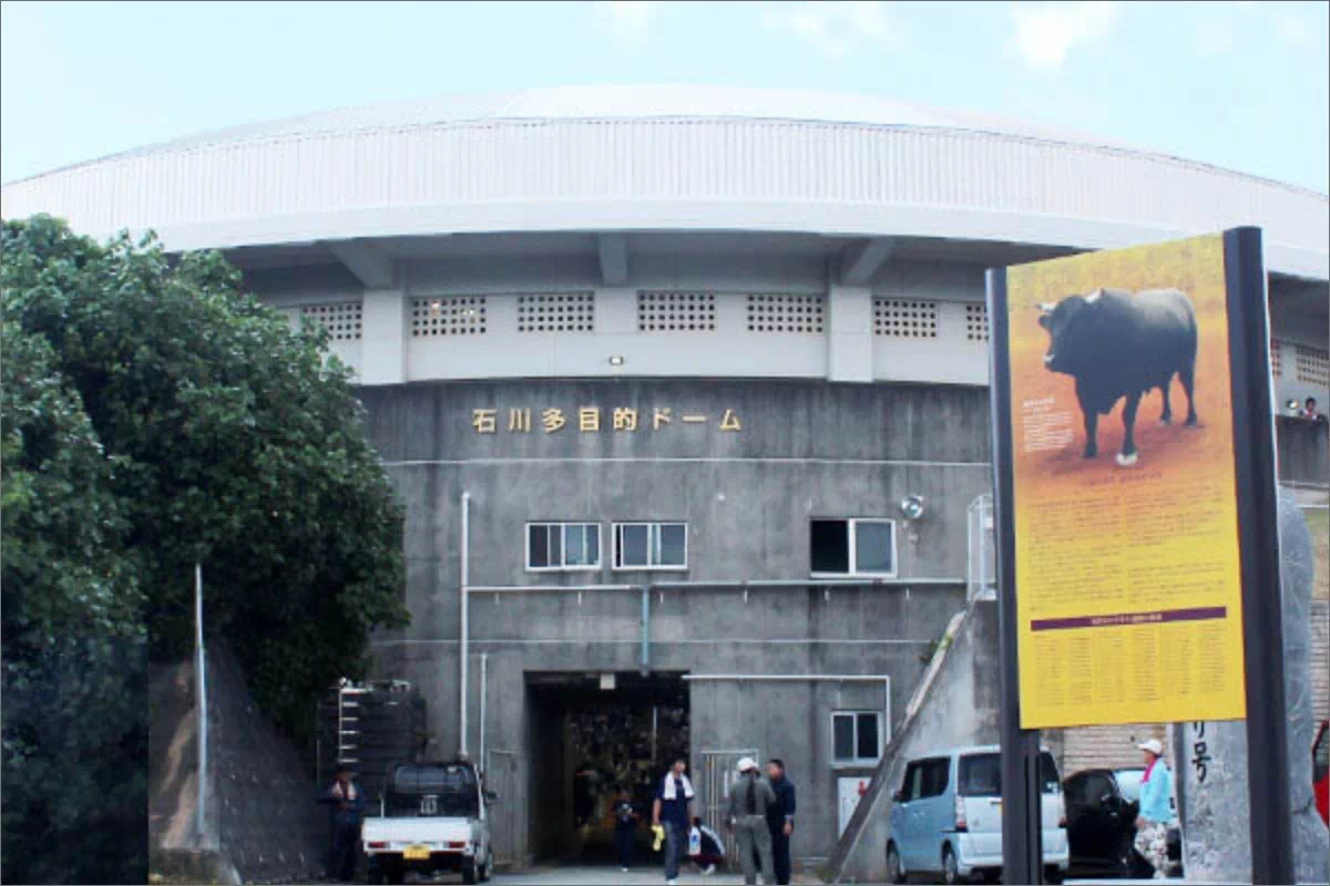 ishikawa multipurpose dome