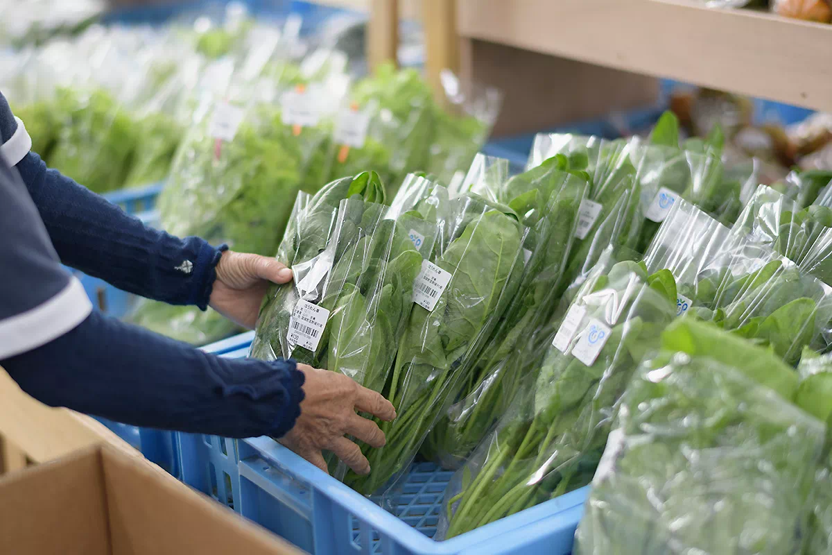 farmers market fresh produce