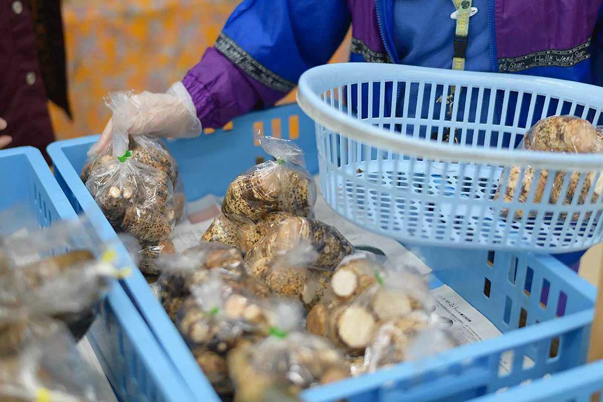 farmers market fresh produce