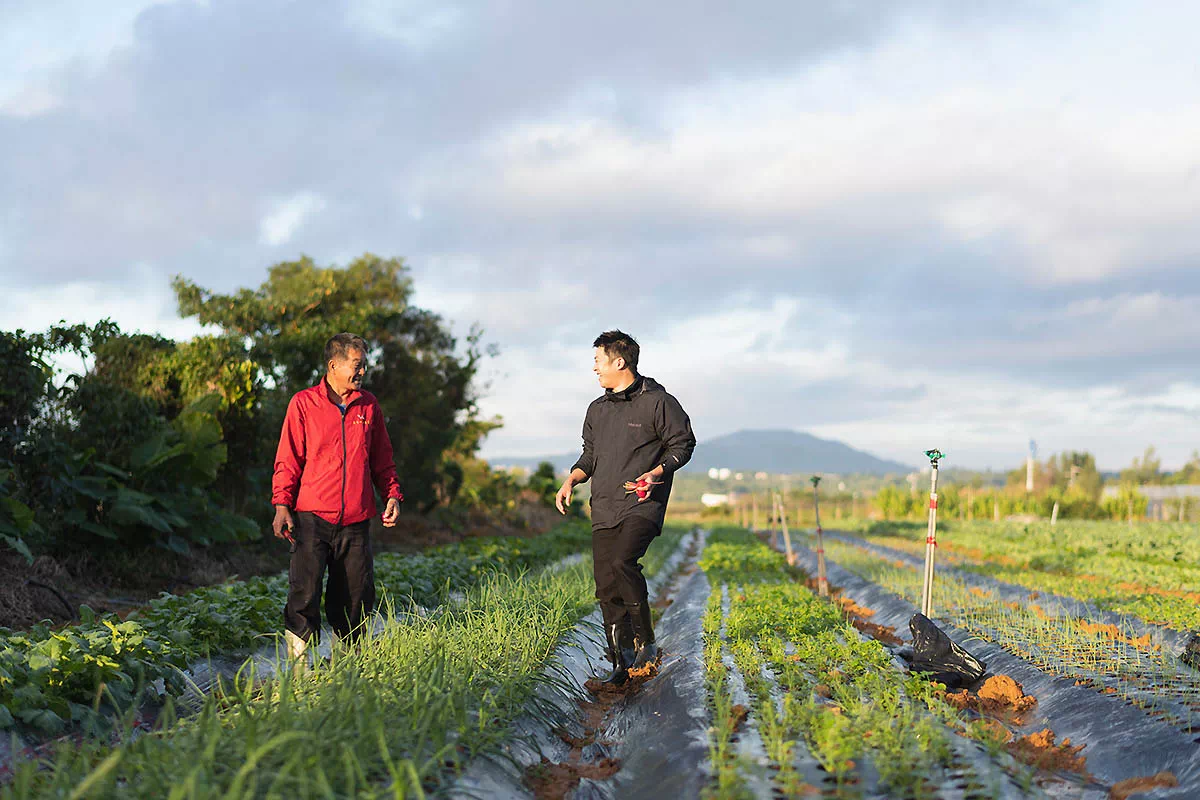 chef kinoshita farmer kinjo