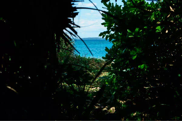 okinawa nature