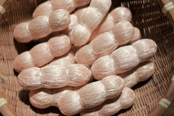 silken threads