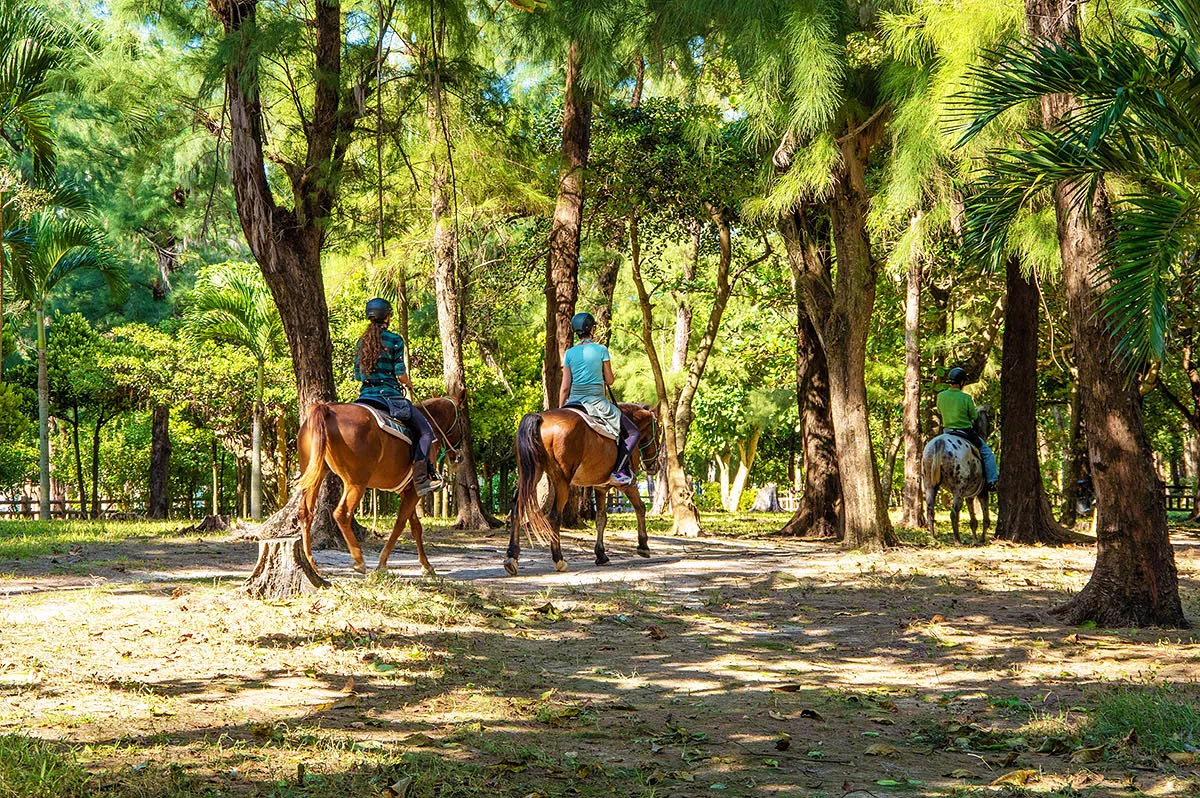 iejima beachside horse park