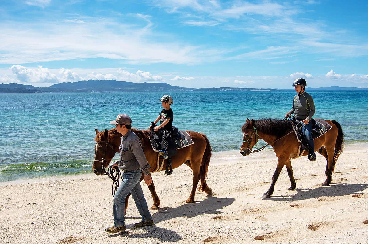 horseback ride ie island