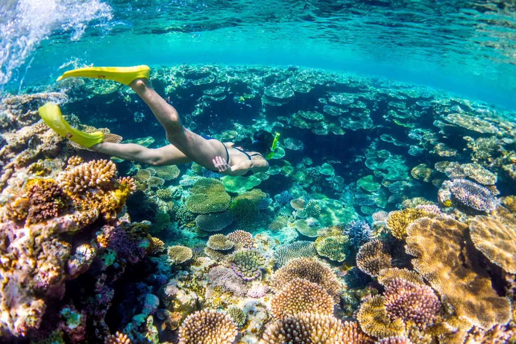 snorkeling in okinawa