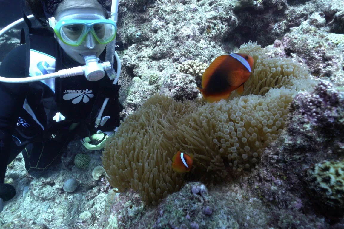 diving in okinawa